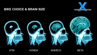 brain_size.thumb.png.34da37e1f36de852b96e0968d755ceb5.png