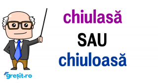 img-434-chiulasa-sau-chiuloasa.png