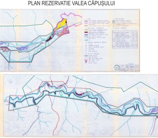 Plan rezervatie Valea Capusului2 .jpg