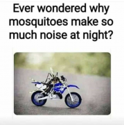 mosquitos.png