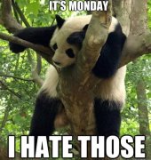 Funny-I-hate-Monday-MEME-and-LOL.jpg