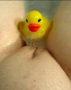 Duckling.jpg