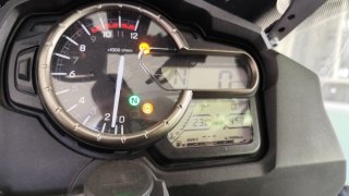 IMG_20250502_165207.jpg
