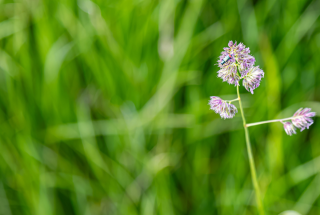 image.thumb.png.5b75b095f21dbf59bf1b1ee5f08850ce.png