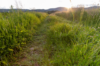 image.thumb.png.a514076c90665f1da7055f2a0d65f8a1.png
