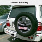 308.thumb.jpg.ded631d2e4a8a542a13d91b033e41f9c.jpg