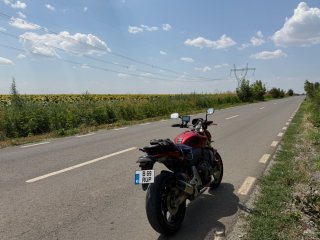 1340527405_PIC12.thumb.JPG.5cb122adf80beb9112d8cb4f2ab3c9cb.JPG